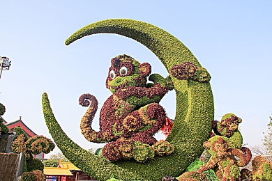 火影18+手游怎么下载 变态版｜《火影忍者》手游变态版下载攻略：独家揭秘下载技巧，畅享游戏乐趣-1