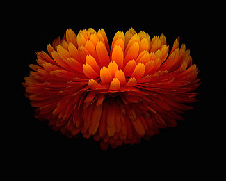 蕾丝视频 成人版app苹果｜汽车娱乐新境界：“蕾丝视频”助力车载系统升级，智能驾驶乐享不停-2