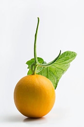 四个黑人玩一越南女|跨域精英联手,赛车舞台上绽放异彩-5