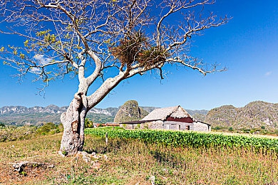 男生和女生差差差app|“创新汽车生活新体验:趣味互动社区,智能推荐,一应俱全的汽车资讯应用大揭秘”-2