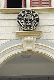 三上悠亚的作品｜科技魅力，动感流线，三上悠亚汽车引领未来驾驶潮流-3