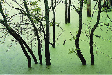 厨房里插的最深的一次-1