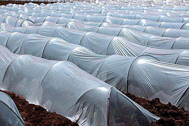 9I制作厂白晶晶|轻量领航,智驾未来,环保先锋,颠覆驾乘新境界-1