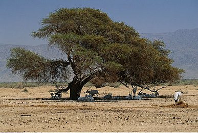 17c吃瓜爆料免费吃瓜|新能源汽车引发热议:极简设计、500公里续航,抢眼表现引期待-2