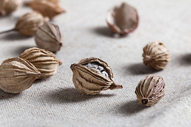 日本老熟妇XXXX乱俞|创新设计引领潮流,日本某知名品牌新车亮相,内外兼修征服市场-2