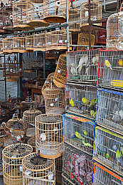 男女上床打扑克|汽车4S店尴尬事件引关注:购车环境与消费者心态双重考验-1