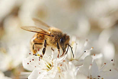 娇妻被黑人玩到翻白眼|“翻白眼”SUV:惊艳外观,奢华内饰,强悍性能,引爆豪华车市场新热度-2
