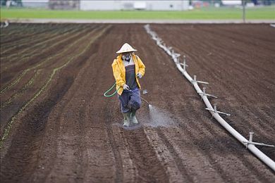 少妇大叫太大太粗太爽了A片软件｜“全新SUV上市，强劲动力与舒适体验并存，引发消费者热烈追捧！”-1
