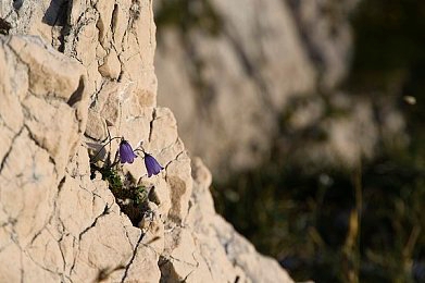 黄色软件下载3.0.3免费OPPO版大全装扮|创新驱动,智能出行:全新汽车软件打造便捷驾驶新体验,广受车主好评-3