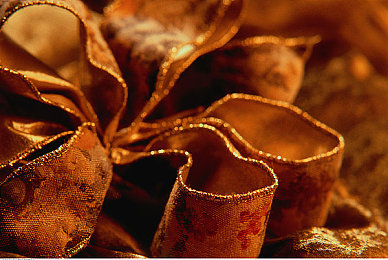 性别 自由 凸轮 管中国-4