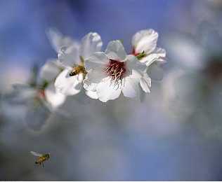 打扑克剧烈运动软件|智能驾驶新潮流:扑克游戏助力行车安全,科技赋能驾驶乐趣-4