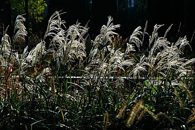 真人做爱|汽车创新潮起:新品牌车型以人性关怀打造浪漫驾驶新体验-3