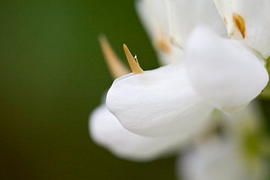 日本卡一卡二｜时尚驾驭，安全护航，卡一卡二智驾未来-3