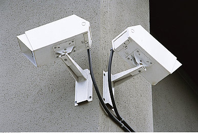 一黄一毛一性一交一爱|新锐亮相!环保轻量化,安全智能,全新车型引领绿色出行风尚-2