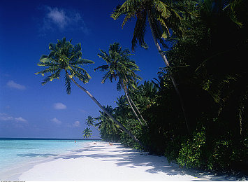 日韩欧美一卡二卡｜日韩欧美四强车系巅峰对决：揭秘明星车型魅力角逐-3