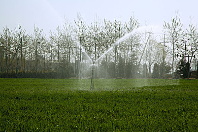 人妖女同HDfutαnαrⅰ｜智能启航，未来都市风尚座驾-1