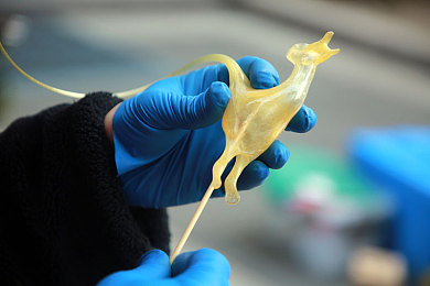 姬小满狂飙乳液｜“科技动感新驾乘，10-15万售价惊艳登场：国内中型SUV新贵引发关注”-1