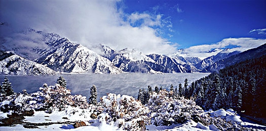 美女被艹软件|智能驾驶新篇章:车联网技术助力“神秘软件”引领汽车行业变革,前景广阔-4