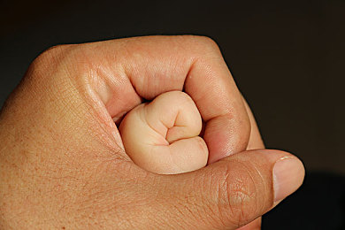 将界2 第三集 亲热｜汽车影界交融，科技出行新篇章-5