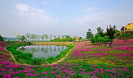 亚洲人与日本人j j zz|亚洲JJazz狂潮席卷:改装文化在日本引领汽车风尚新潮流-2