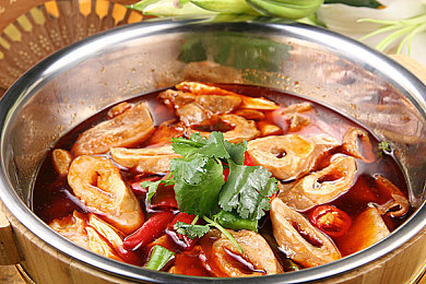 这里只有精品6｜驾驭未来，时尚先锋，品质之选，尽在潮流新驾界-3