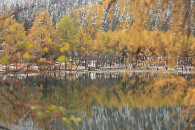 姐妹4人混战闹元宵|元宵佳节姐妹齐聚,别开生面驾驶大赛庆团圆-3