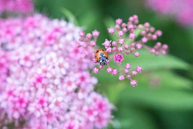 差差差很疼30分钟的视频|汽车耐久性测试大揭秘:30分钟视频见证极致安全与稳定,品质之选引关注-3