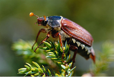 涩涩综合|创新设计引领潮流,涩涩综合新车型惊艳上市,性能与科技并存,备受瞩目!-2