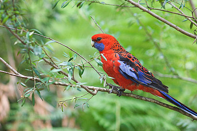老太婆扒开让我舔她下面｜“颠覆传统，智能环保——探秘“神秘”概念车，引领汽车行业新潮流”-1