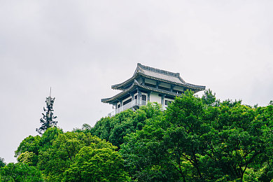 5X社区|高端汽车新宠,5X品牌引领性能与科技潮流-3