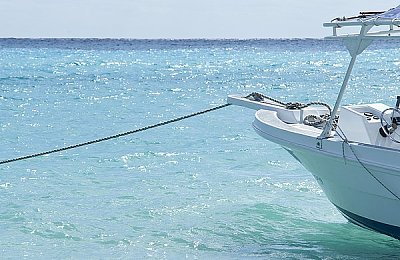 十大黄色APP下载|汽车行业拥抱科技,热门APP盘点:资讯、保养、导航一网打尽,趣味内容添生活乐趣-1