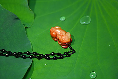 欧美浓毛老太大泬毛茸茸｜时尚独特设计，欧式毛茸茸风格汽车惊艳上市-3