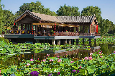 我才15就同学破了处好爽｜15岁少年创新突破，新能源汽车革命引领未来-1