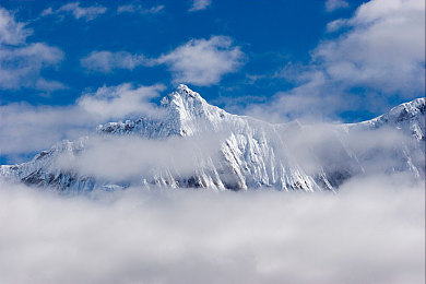 护士日本XXXXXX10060|“科技革新引领未来,人性化设计环保节能,全新智能汽车惊艳亮相,畅享便捷舒适驾驶体验”-1