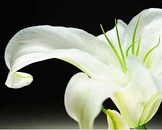 婷婷综合｜绿色领航，智能驾驭，未来出行新篇章-2