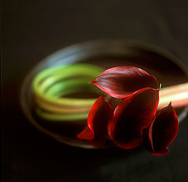 一个综合色｜汽车色彩革命：创新“综合色”引领潮流，重塑视觉盛宴-4