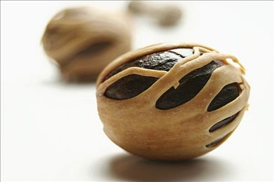 一个人看的WWW的视频免费看|电动汽车全解析,免费资源满足车迷需求,深度解读汽车行业资讯-4