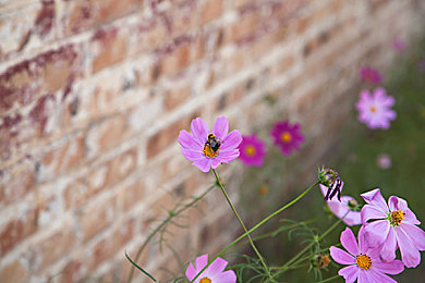 不知火舞和三个小孩｜科技领航，温馨伴行，环保新驾享-2