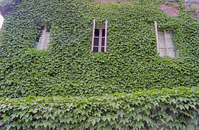 乱伦视频网站｜汽车行业携手共筑清朗网络，迎接智能化、新能源发展新机遇-2