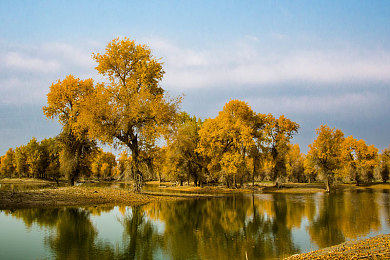 迅雷bt种子磁力天堂｜新能源汽车配件创新突破：磁力技术革新续航，未来驾驶生活更便捷-2