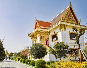 阿娇脱了内裤打开腿让人躁｜全新SUV引发“内裤门”热议，独特设计魅力引爆市场-2