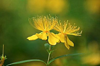 张婉莹自慰|汽车行业震慑:张婉莹事件引发人才管理与企业文化建设深度反思-1