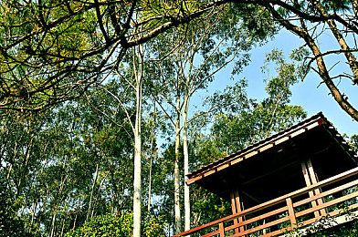 窜天猴永久官网｜穿梭时空，智领风潮——新锐车型惊艳登场-2