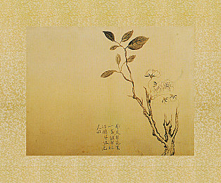 软件下载3.0.3免费破解大全｜汽车爱好者福音：破解版“神软件”助力车辆轻松升级-4