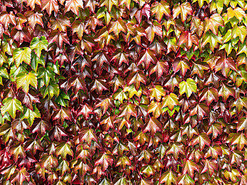 黑料爆料八卦反差婊｜豪华车负面风波迭起：品质疑云下销量依旧坚挺-2