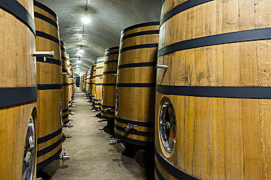 黄色软件下载安装3.3.0最新版免费｜“汽车软件革新来袭：全新黄色软件3.3.0版免费升级，功能强大引关注！”-2