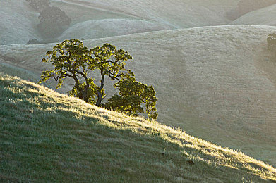 一个新手s怎么调m-3