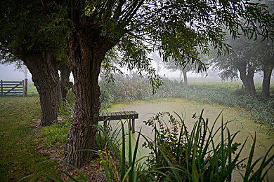 XBOX播放高清影片|“智能驾驶新境界:新一代智能汽车引入高清娱乐,打造未来驾驶体验新篇章”-5