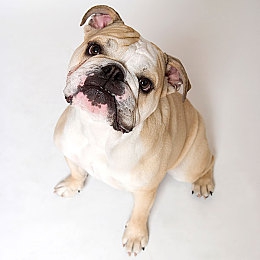 真人版二人生孩子｜“二胎家庭出行新选择：创新“二胎车”亮相，独特设计满足多元需求”-4