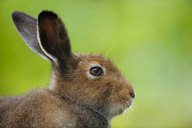 51国产黑料吃瓜张津瑜蘑菇｜国产汽车品牌再遭质疑，产品质量问题引发网友热议-1